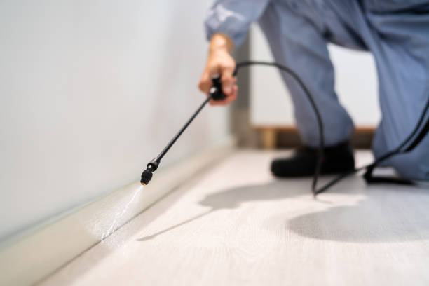 Licensed Termite Control service in Newtown, PA - Nex Pest Control