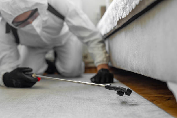Professional Termite Control technician working in Newtown, PA