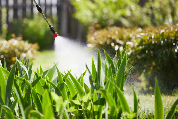 24/7 Emergency Termite Control experts in Newtown, PA