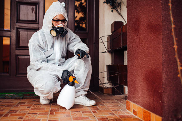 Reliable Termite Control contractor in Newtown, PA by Nex Pest Control